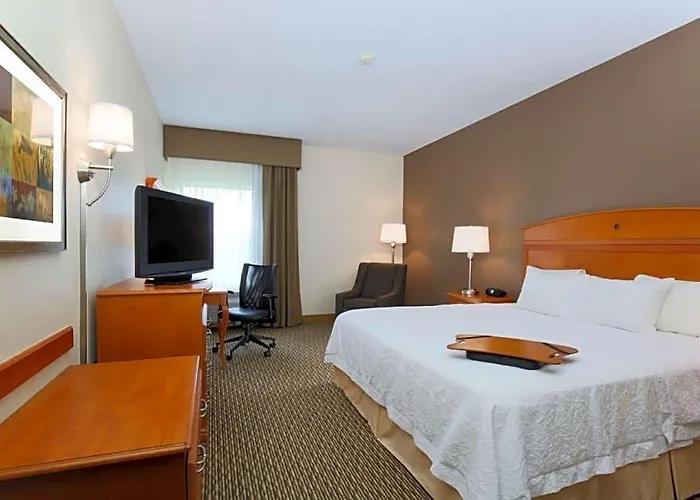 Western Forsyth-decatur Hotel 3*